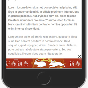 Roller - Google Ad Manager creative template