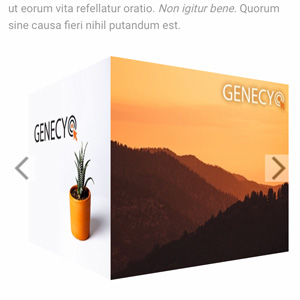 Cube - Google Ad Manager creative template