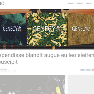 Carousel - Google Ad Manager creative template