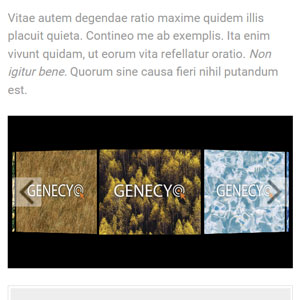 Carousel - Google Ad Manager creative template