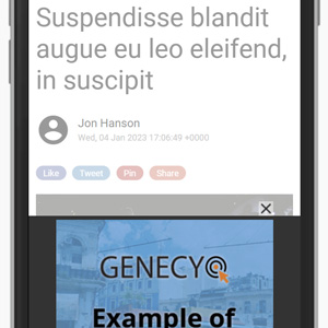 Catfisher - Google Ad Manager creative template